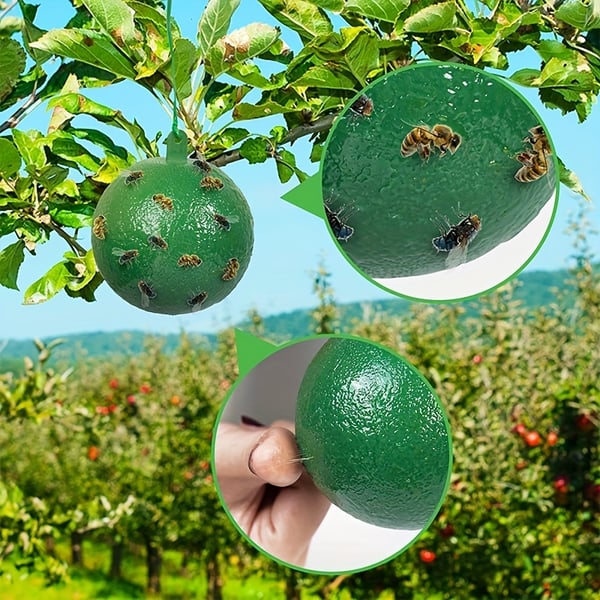 🪰 Sticky bait balls, suitable for citrus fruit flies and orchard flying insects