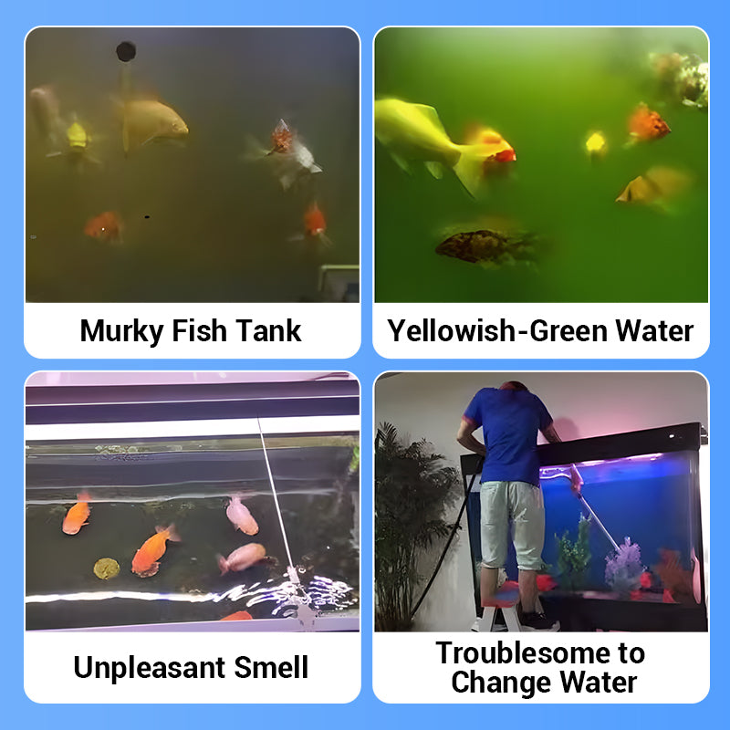 🐠Clear Cloudy Aquarium Water With Powerful Purification Tablets