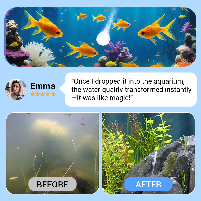 🐠Clear Cloudy Aquarium Water With Powerful Purification Tablets