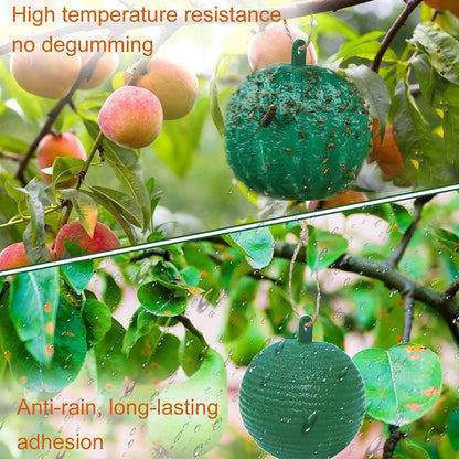 🪰 Sticky bait balls, suitable for citrus fruit flies and orchard flying insects