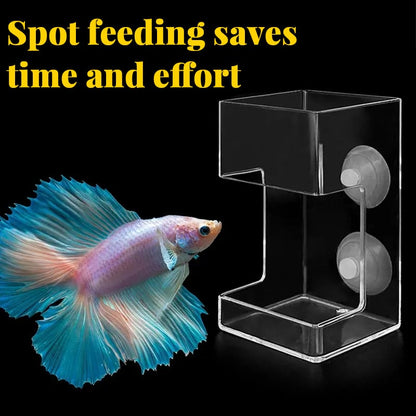 ✨Aquarium Feeder | Prevents food from drifting! Buy one get one free