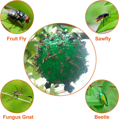 🪰 Sticky bait balls, suitable for citrus fruit flies and orchard flying insects