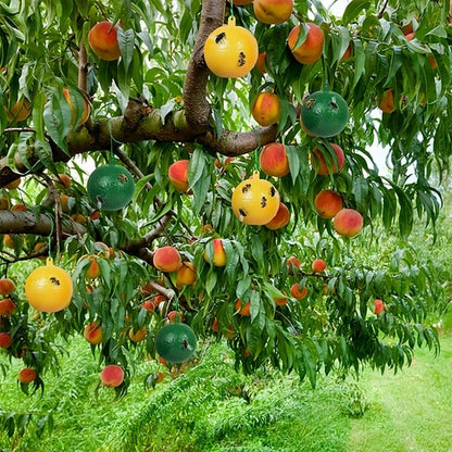 🪰 Sticky bait balls, suitable for citrus fruit flies and orchard flying insects