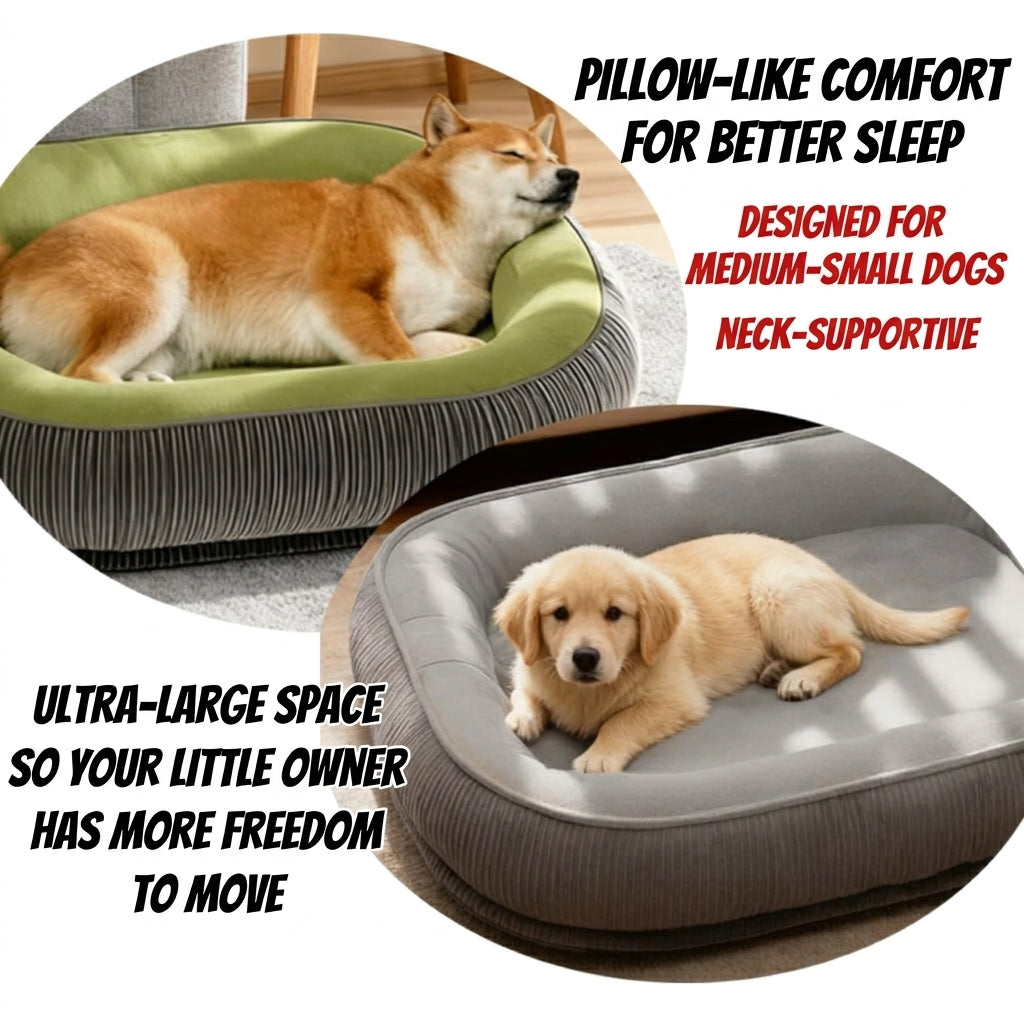 🐕 Removable & Washable Pet Bed ✨ All-Season Cozy Mattress for Dogs & Cats of All Sizes