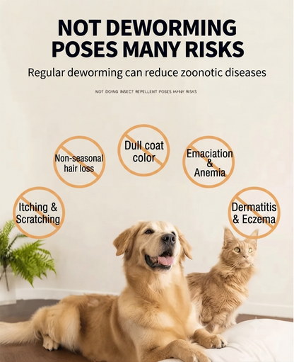 💊Safe Monthly Parasite Prevention For Young Cats & Dogs