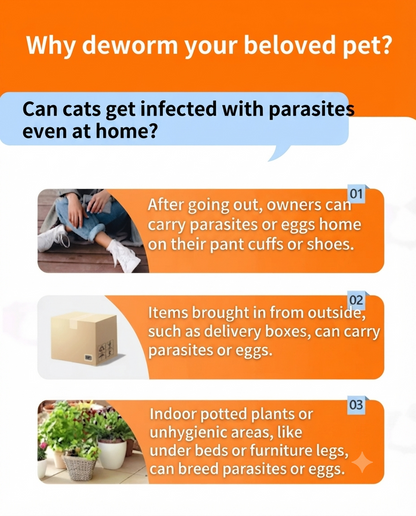 💊Safe Monthly Parasite Prevention For Young Cats & Dogs