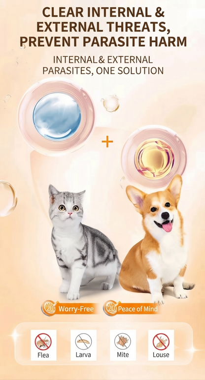 💊Safe Monthly Parasite Prevention For Young Cats & Dogs