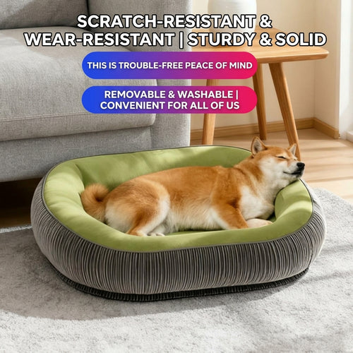 🐕 Removable & Washable Pet Bed ✨ All-Season Cozy Mattress for Dogs & Cats of All Sizes