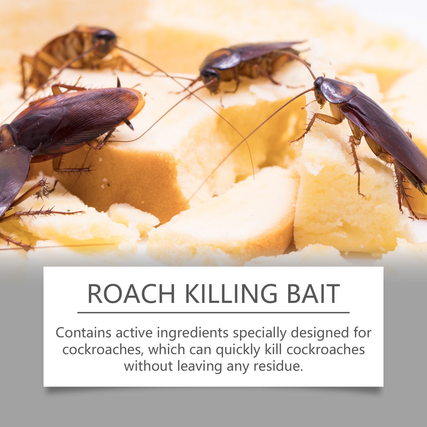 🪳Full Nest Roach Killer! Highly Attractive Cockroach Gel Bait