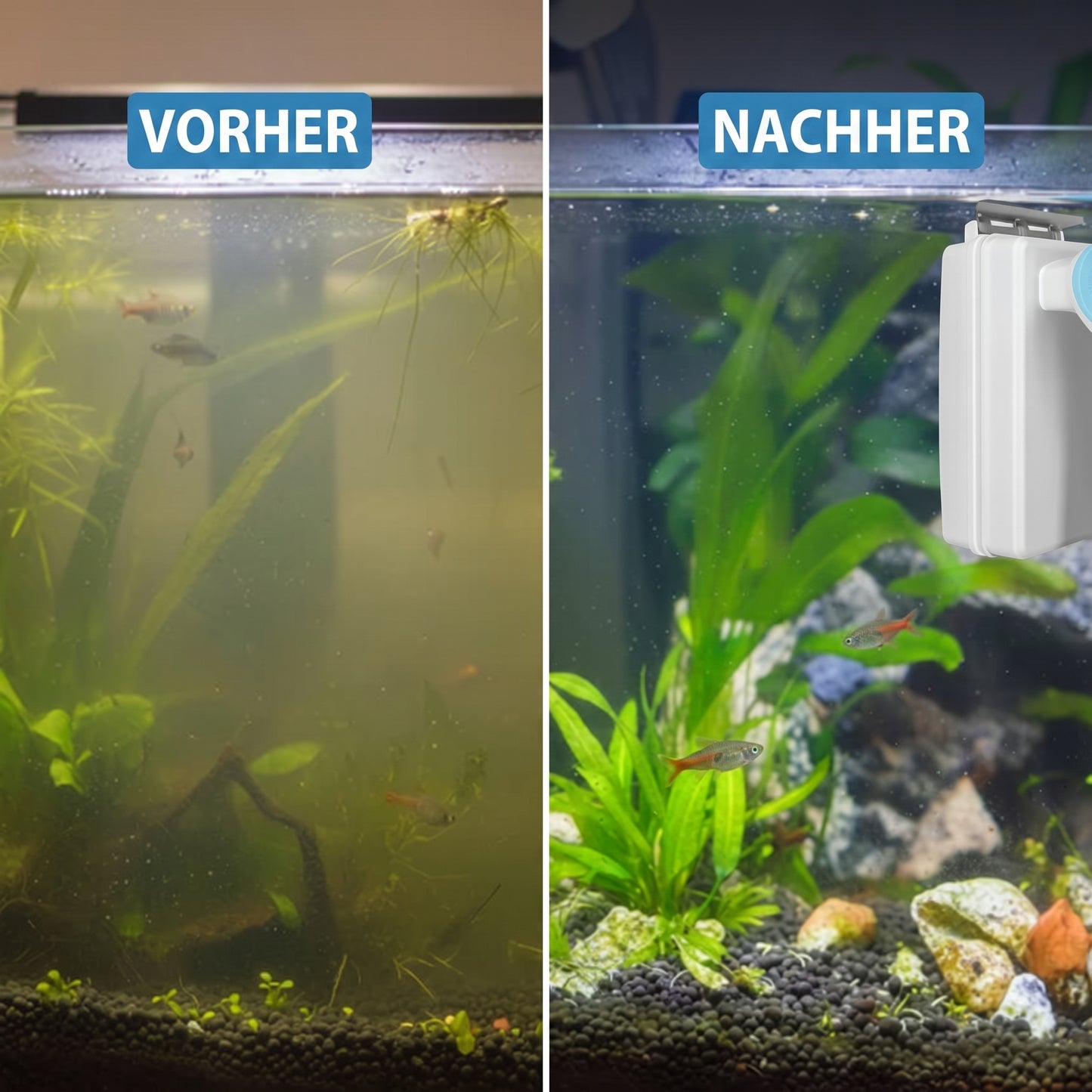 🐠 Halten Sie Ihr Aquarium Kristallklar mit Diesem Leistungsstarken Magnetischen Scheibenreiniger