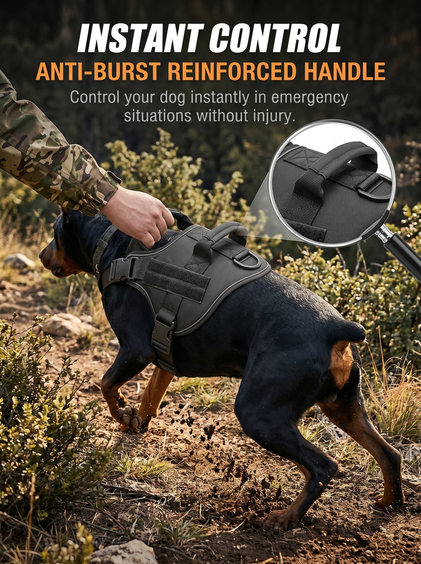 No Pull Dog Harness Front & Back Clip Breathable Adjustable Anti-Tug Pet Vest for Outdoor Walking Training
