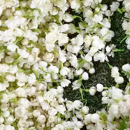 🔥 Natural mosquito-repellent flower seeds! Climbing silver jasmine seeds, rich fragrance, create a fragrant garden at home.