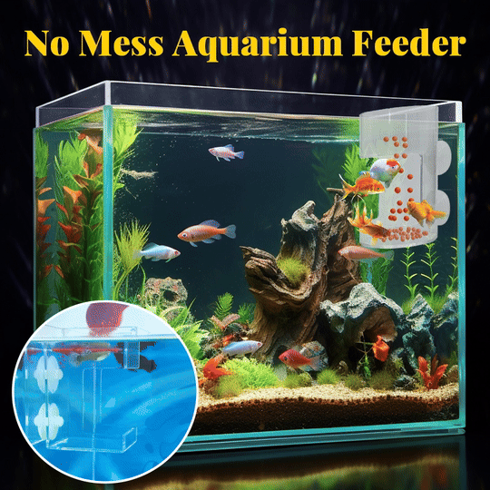 ✨Aquarium Feeder | Prevents food from drifting! Buy one get one free