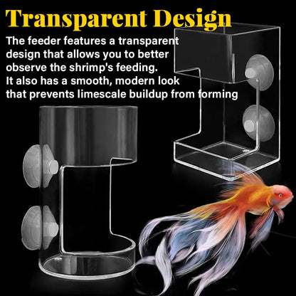 ✨Aquarium Feeder | Prevents food from drifting! Buy one get one free