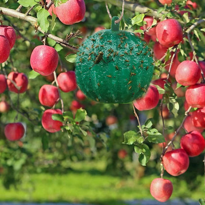 🪰 Sticky bait balls, suitable for citrus fruit flies and orchard flying insects