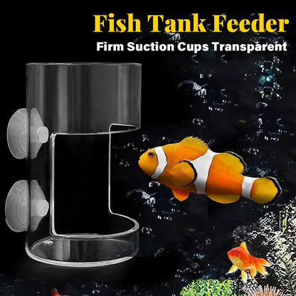 ✨Aquarium Feeder | Prevents food from drifting! Buy one get one free