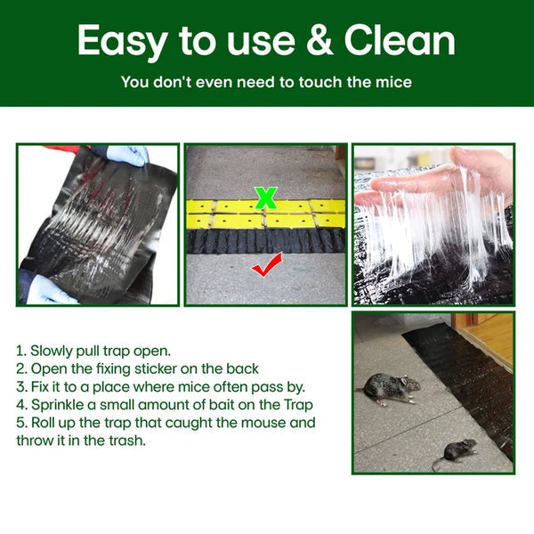 🪤 Mouse Trap – Hygienic & Effective Pest Control | Touchless – Buy 1, Get 1 Free