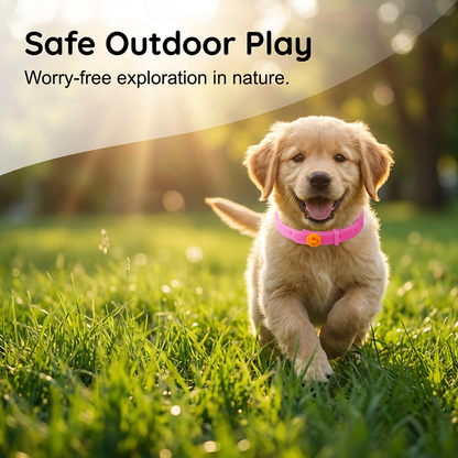 ✅Save Hundreds On Vet Visits – Adjustable Flea Tick Collar For Pets
