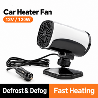 LY130 Black-White 12V